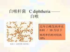 白喉杆菌Cdiphtheria白喉(共8张PPT)