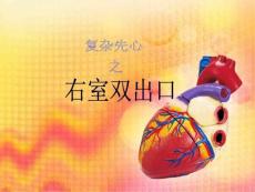 右室双出口ppt课件