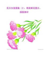 花卉矢量图集（2）：精美鲜花图片，插图素材