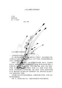 AMW融資方案 策劃【策劃精品】