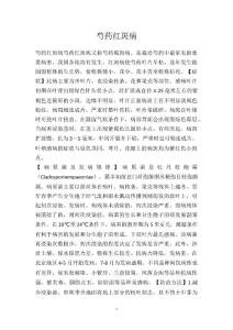 芍药红斑病