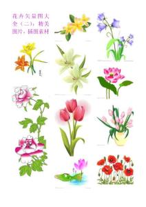 花卉矢量图大全（二）：精美鲜花图片，插图素材