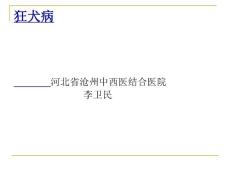 狂犬病ppt，小狗可爱，但要远离狂犬病哦