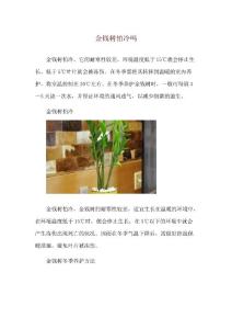 金钱树怕冷吗