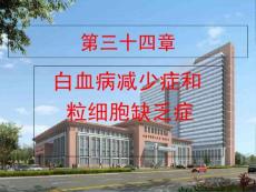 白细胞减少症和粒细胞缺乏ppt课件