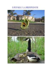 自然界最讓人心潮澎湃的時(shí)刻