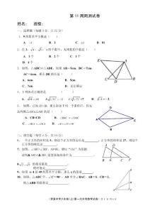 八年级上数学第11周周测试卷