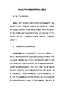 安全生產(chǎn)標準化自評報告范文精選