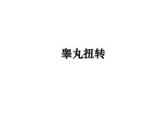 睾丸扭转