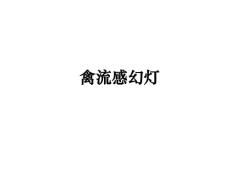 禽流感幻灯