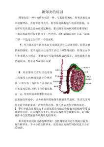 附睾炎的病因