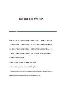 低热值油页岩发电技术