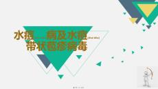 水痘病及水痘带状苞疹病毒