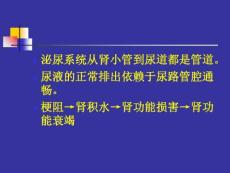 【医药健康】尿路梗阻