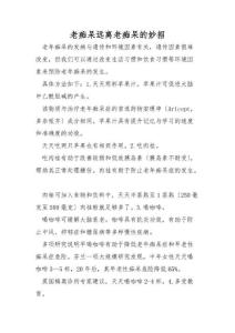 老痴呆远离老痴呆的妙招