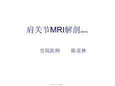 肩关节解剖