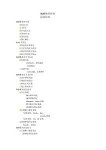 胸腰椎骨折内固定技术