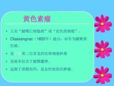 常见体表肿瘤黄色素瘤