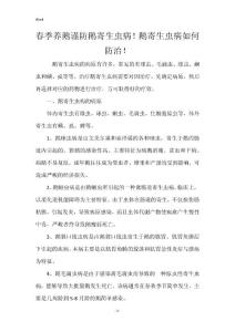 春季养鹅谨防鹅寄生虫病！鹅寄生虫病如何防治！