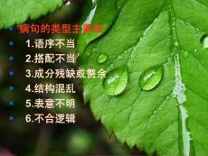 高考語文判斷病句十看PPT課件