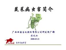 蔬菜病蟲害(推廣班培訓)