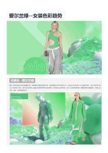 爱尔兰绿色公开课公开课