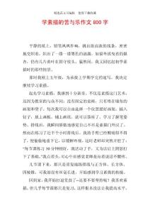 學素描的苦與樂作文800字