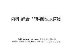 内科-综合-非淋菌性尿道炎