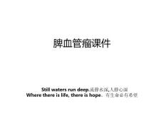 脾血管瘤课件