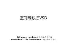 室间隔缺损VSD
