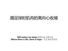 踢足球时肌肉的离向心收缩