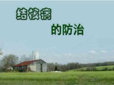 肺结核防治
