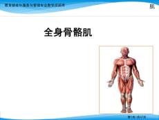 全身骨骼肌教学课件