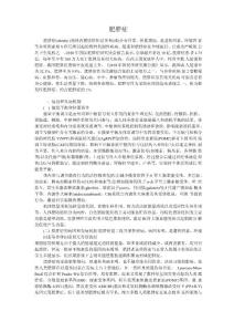 肥胖症文案