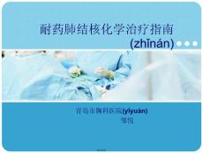 耐药肺结核