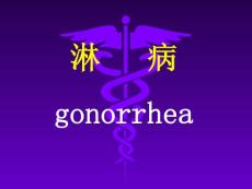 -淋病gonorrhea