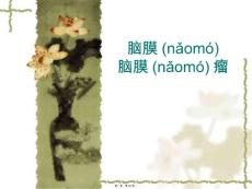 脑膜脑膜瘤