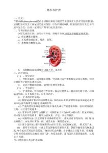 肾积水护理