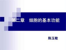 细胞的基本功能肌肉收缩