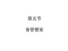 《食管憩室教学》PPT课件