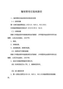 输尿管结石临床路径
