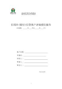 信用社(银行)信贷客户评级授信报告