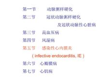 病理学心内膜炎