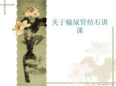 输尿管结石讲课