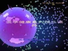 多形渗出性红斑