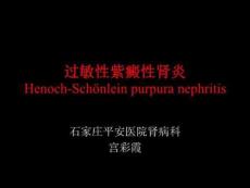 过敏性紫癜性肾炎