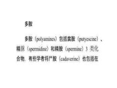 多胺、激素类肿癌标志