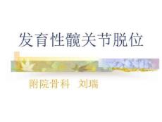 发育性髋关节脱位