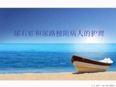 尿石症和尿路梗阻病人的护理