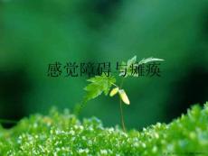 感觉障碍与瘫痪